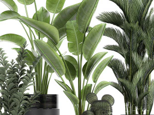 houseplants in a pot for the interior 724 3D Model