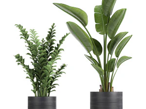 houseplants in a pot for the interior 724 3D Model
