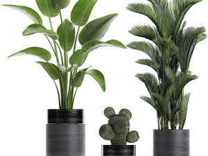 houseplants in a pot for the interior 724 3D Model