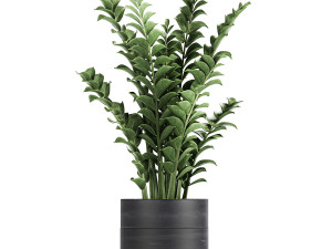 houseplants in a pot for the interior 724 3D Model