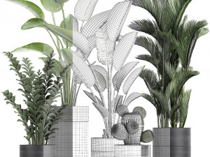 houseplants in a pot for the interior 724 3D Model