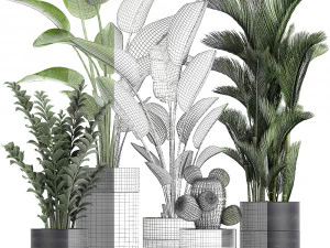 houseplants in a pot for the interior 724 3D Model