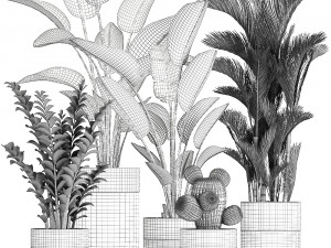 houseplants in a pot for the interior 724 3D Model