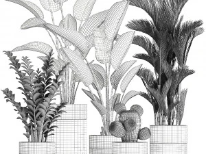 houseplants in a pot for the interior 724 3D Model