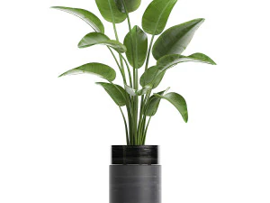 houseplants in a pot for the interior 724 3D Model