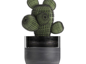 houseplants in a pot for the interior 724 3D Model