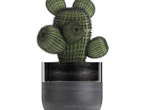 houseplants in a pot for the interior 724 3D Model