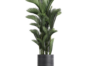 houseplants in a pot for the interior 724 3D Model