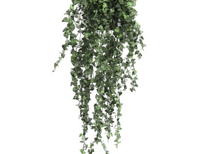 houseplants hedera in a pot for the interior 724 Model 3D