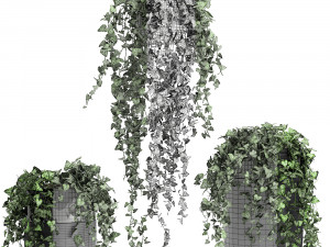 houseplants hedera in a pot for the interior 724 Model 3D