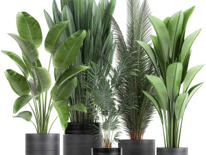 houseplants in a pot for the interior 726 3D Model
