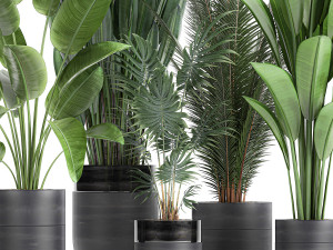 houseplants in a pot for the interior 726 Model 3D