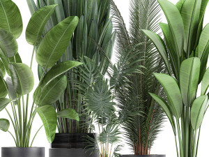 houseplants in a pot for the interior 726 Model 3D
