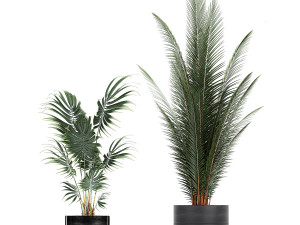 houseplants in a pot for the interior 726 Model 3D