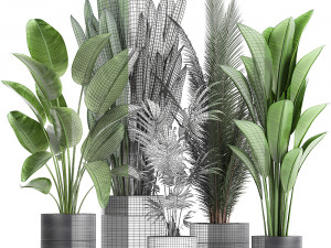 houseplants in a pot for the interior 726 Model 3D
