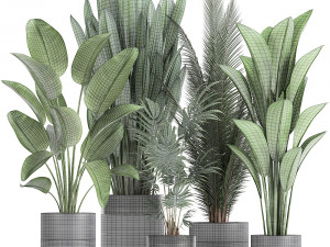 houseplants in a pot for the interior 726 Model 3D