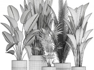houseplants in a pot for the interior 726 Model 3D