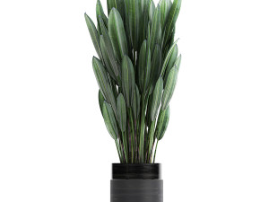 houseplants in a pot for the interior 726 Model 3D