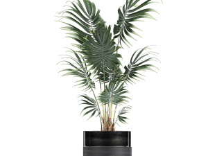 houseplants in a pot for the interior 726 Model 3D