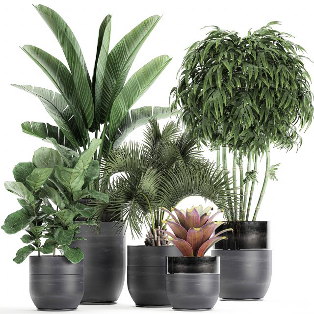 houseplants in a pot for the interior 727 3D Model .c4d .max .obj .3ds .fbx .stl .blend 
