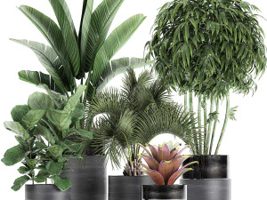 houseplants in a pot for the interior 727 3D Model