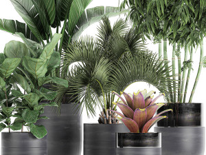 houseplants in a pot for the interior 727 3D Model