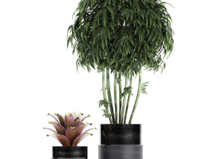 houseplants in a pot for the interior 727 3D Model