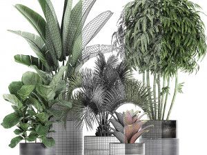 houseplants in a pot for the interior 727 3D Model