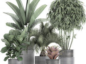 houseplants in a pot for the interior 727 3D Model