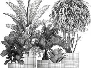 houseplants in a pot for the interior 727 3D Model
