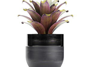 houseplants in a pot for the interior 727 3D Model