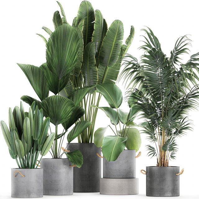 houseplants in a pot for the interior 728 3Dモデル .c4d .max .obj .3ds .fbx .stl .blend 