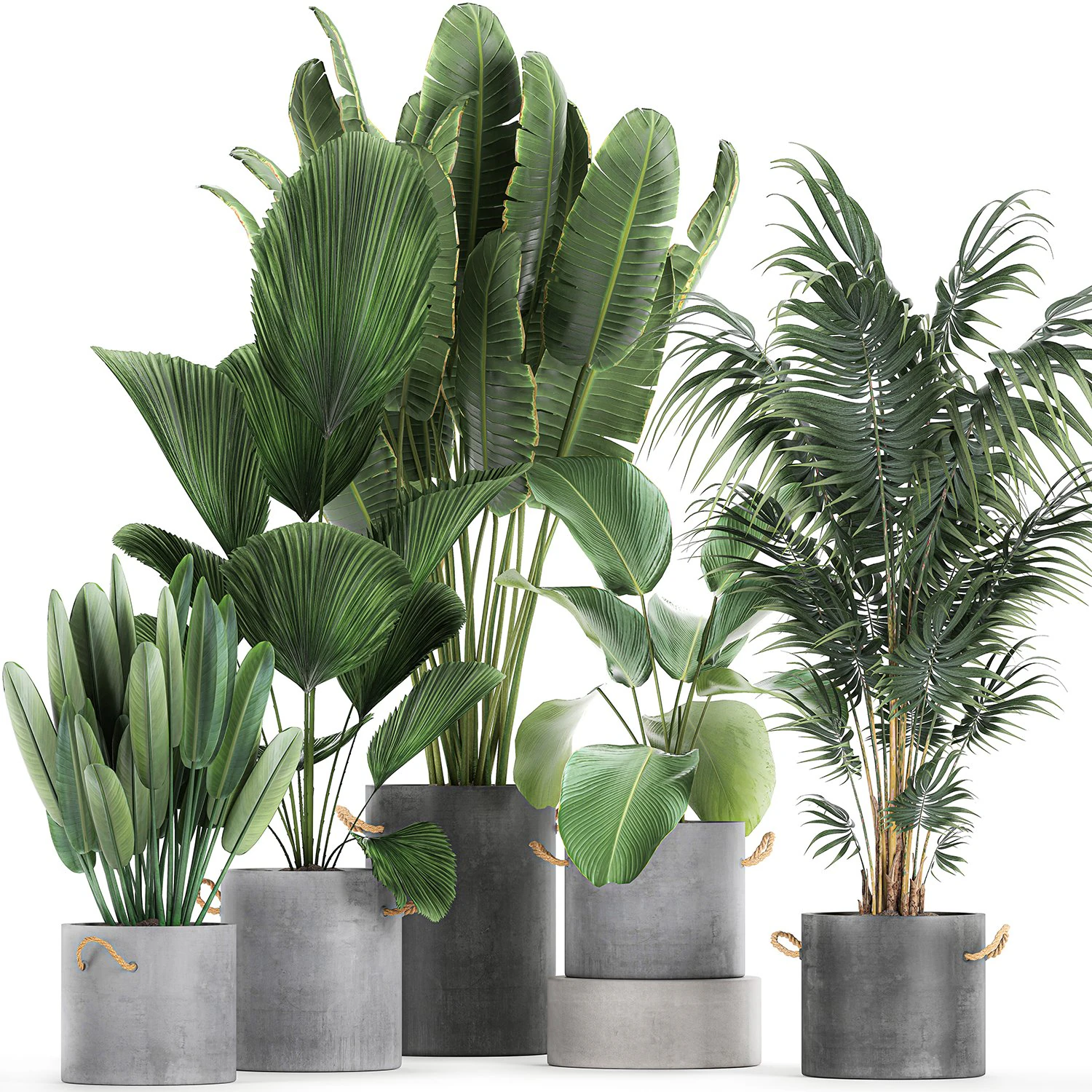 houseplants in a pot for the interior 728 3D Model .c4d .max .obj .3ds .fbx .stl .blend 