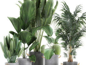 houseplants in a pot for the interior 728 3D Model