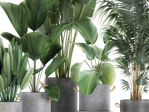 houseplants in a pot for the interior 728 3D Model