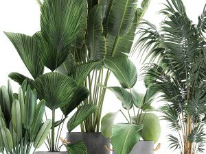 houseplants in a pot for the interior 728 3D Model