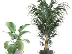 houseplants in a pot for the interior 728 3D Model