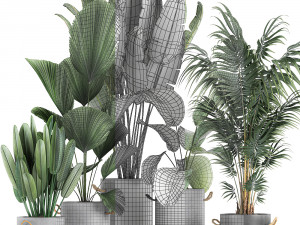 houseplants in a pot for the interior 728 3Dモデル