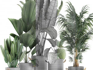 houseplants in a pot for the interior 728 3D Model