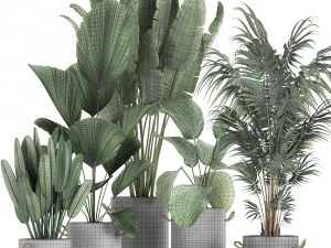 houseplants in a pot for the interior 728 3D Model