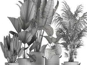 houseplants in a pot for the interior 728 3Dモデル