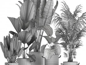 houseplants in a pot for the interior 728 3D Model