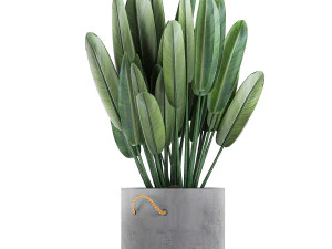 houseplants in a pot for the interior 728 3D Model