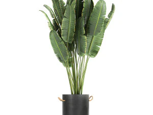 houseplants in a pot for the interior 728 3D Model