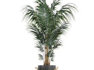 houseplants in a pot for the interior 728 3D Model
