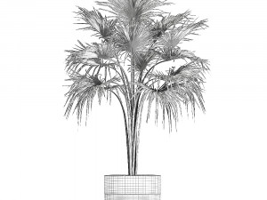 decorative palm in a flowerpot 729 3Dモデル