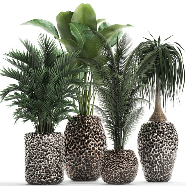 houseplants in a pot for the interior 730 3D Модель .c4d .max .obj .3ds .fbx .stl .blend