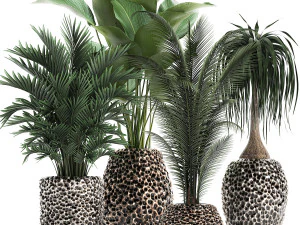 houseplants in a pot for the interior 730 3D Model