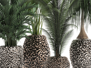 houseplants in a pot for the interior 730 3D Модель