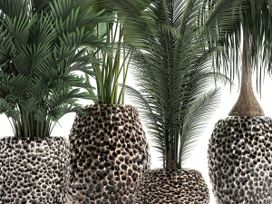 houseplants in a pot for the interior 730 3D Model